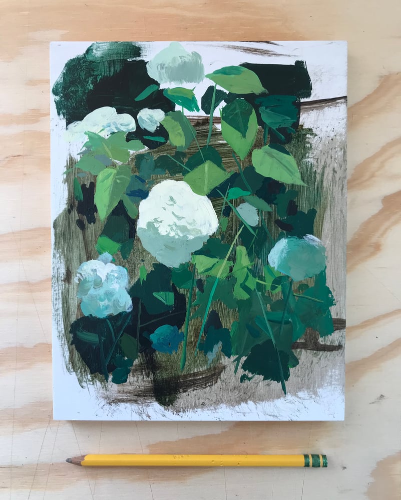 Image of Hydrangea sketch 