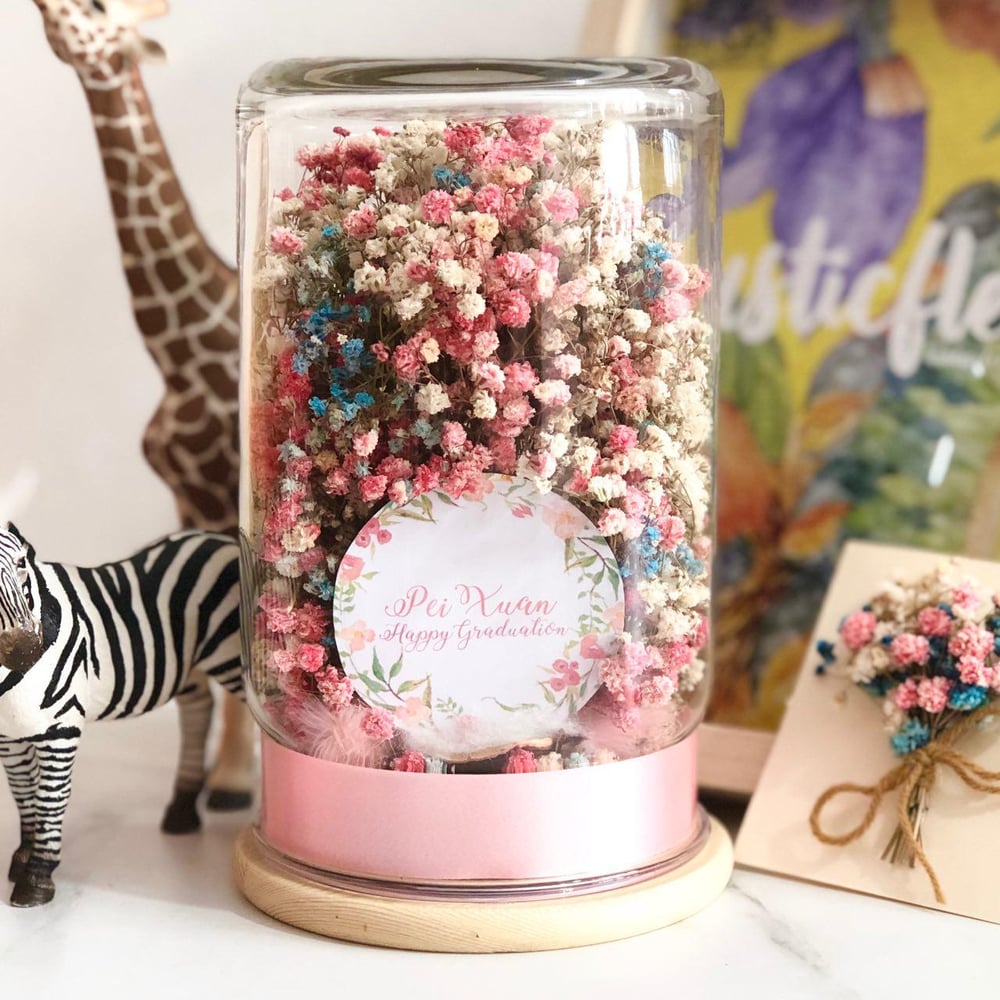 Image of Paddlepop in a Jar