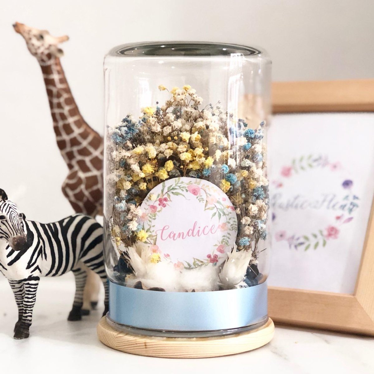 Image of Belle in a Jar