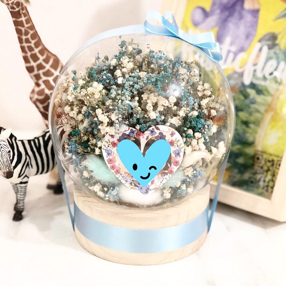 Image of Elsa in a Globe