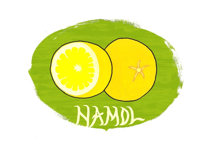 Image of NAMOL