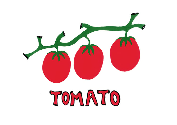 Image of TOMATO