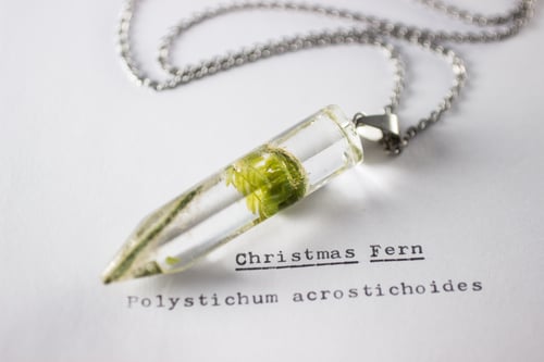 Image of Christmas Fern Fiddlehead (Polystichum acrostichoides) - Medium Crystalline Pendant #1