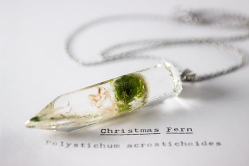 Image of Christmas Fern Fiddlehead (Polystichum acrostichoides) - Large Crystalline Pendant #1