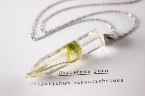 Image of Christmas Fern Fiddlehead (Polystichum acrostichoides) - Large Crystalline Pendant #2