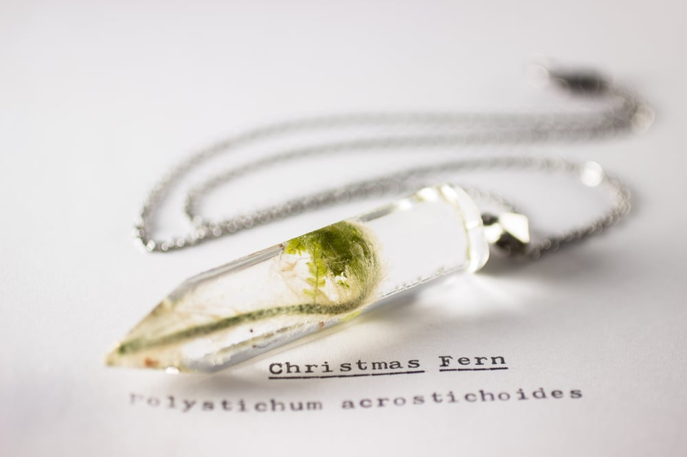 Image of Christmas Fern Fiddlehead (Polystichum acrostichoides) - Large Crystalline Pendant #2