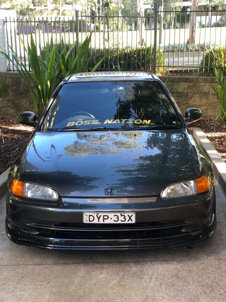 Image of Gold x Gold Windshield Banner