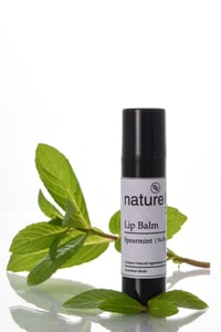 Image 1 of Lip Balm - Spearmint