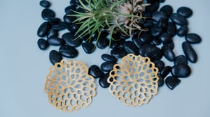 Image of FLEUR