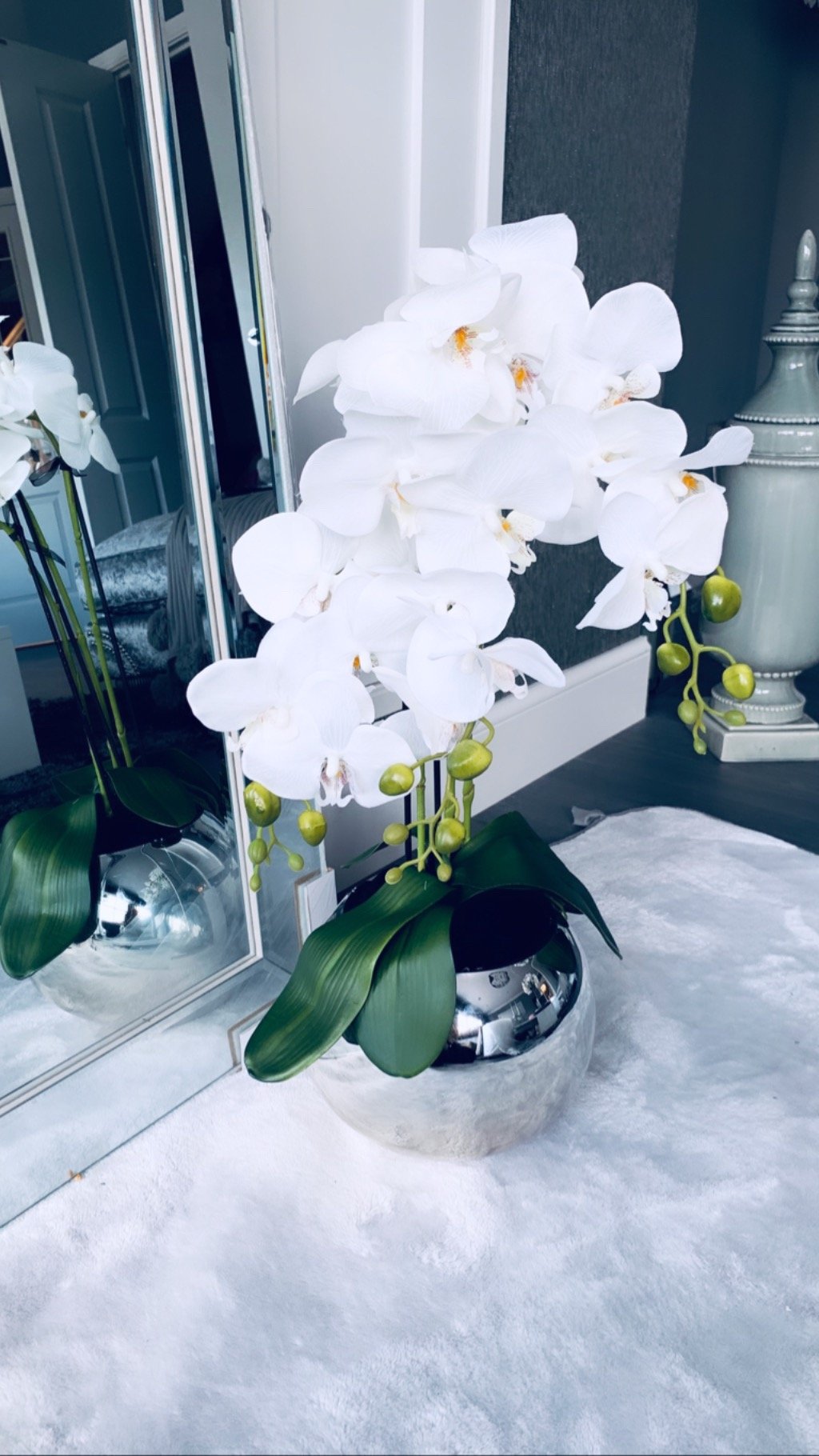 Image of Orchids in mirrored bowls ( various )