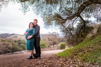 Image 1 of September 28th Pleasanton rolling hills and forest Mini Sessions
