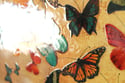 Original Canvas - Butterflies on Warm Ochre - 36" x 60"