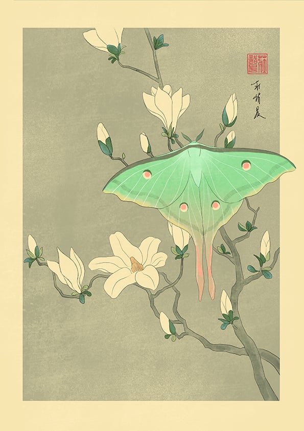 Evening Bloom Poster