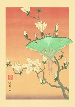 Evening Bloom Poster