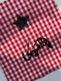 Image 2 of cherry shrimp patch