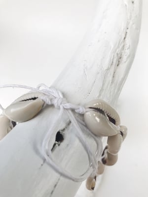 Image of Cowrie Shell Necklace 