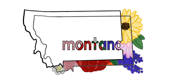 Image of MONTANA STICKER