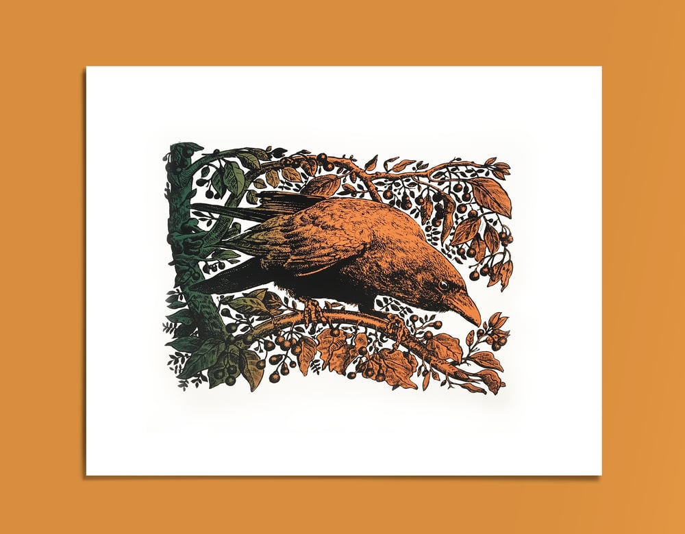 Image of THE RAVEN, THE BONES AND THE CAMPHOR TREE, Hugo Oliveira