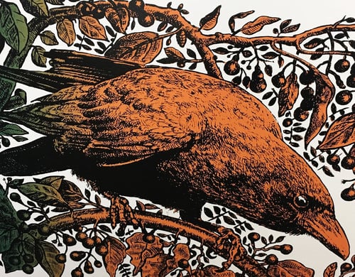 Image of THE RAVEN, THE BONES AND THE CAMPHOR TREE, Hugo Oliveira