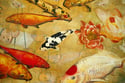 Original Canvas - Koi and Lilies with Reflections of Honesty - 30" x 30"