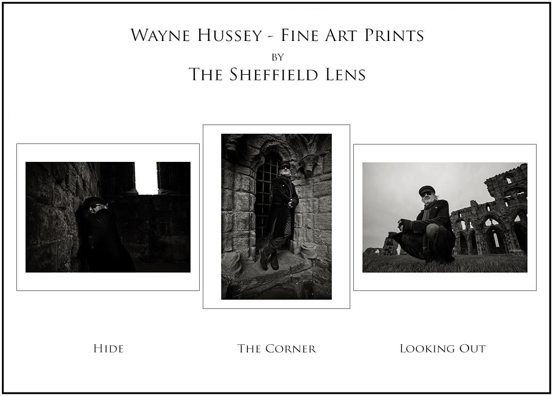 Image of Wayne Hussey - Special Edition by The Sheffield Lens - Single Prints