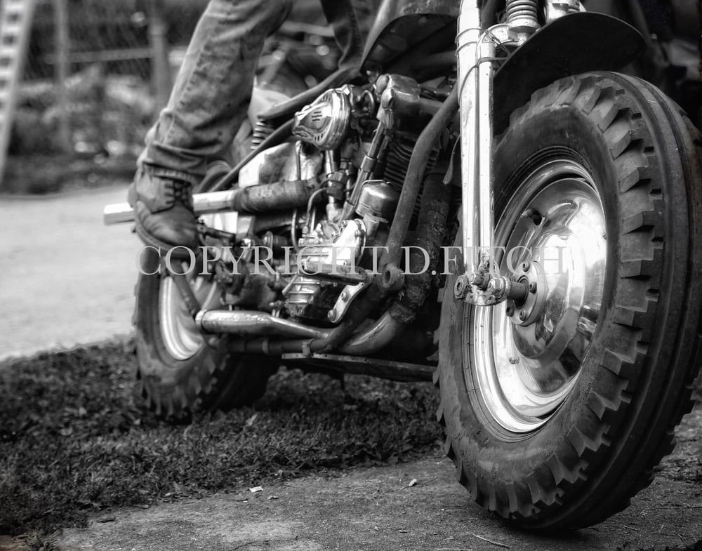 Image of "Endless Phil" Signed Print