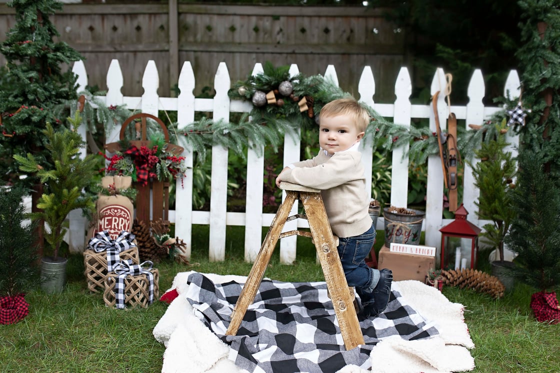 Image of HOLIDAY MINI SESSION 2021