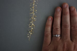 Image of platinum 5.0mm rose cut diamond ring (IOW103)