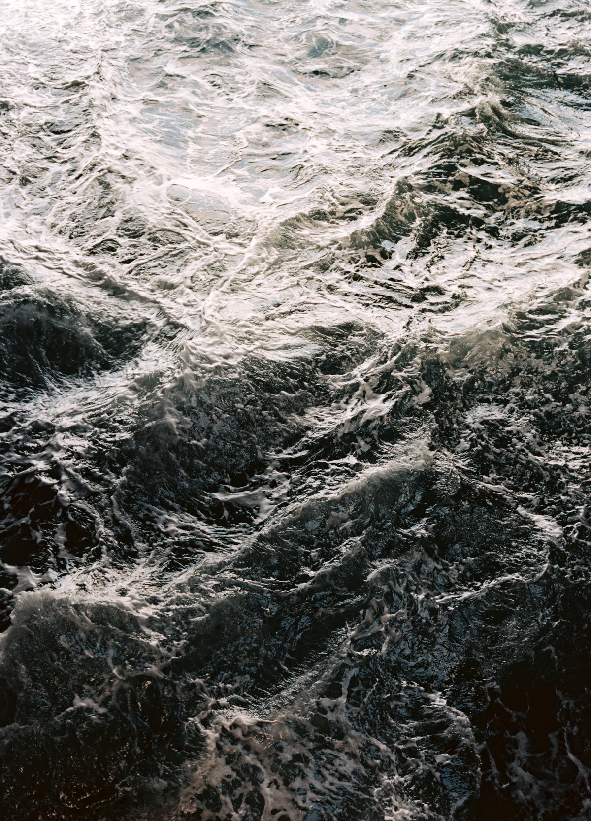 Image of Prints (3 sizes)
