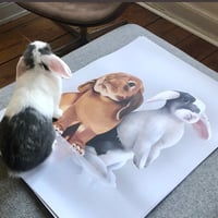Image 2 of Bunny Love