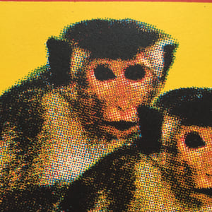 Image of Power Monkey Wax Matches by Charlie Evaristo-Boyce 