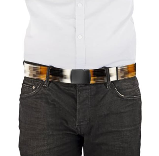 Image of Pitch belt ๐
