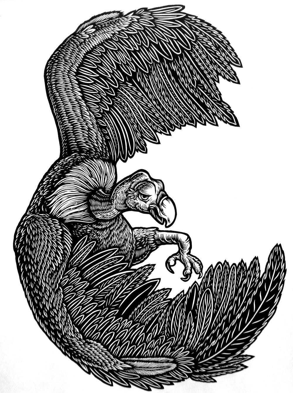 Vulture Noosh! XL - T-shirt **FREE SHIPPING**
