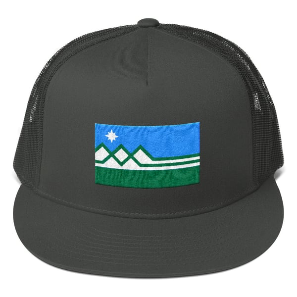 Image of Washington State Flag Snapback Hat