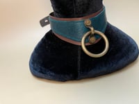 Image 2 of Brown and teal locking posture collar