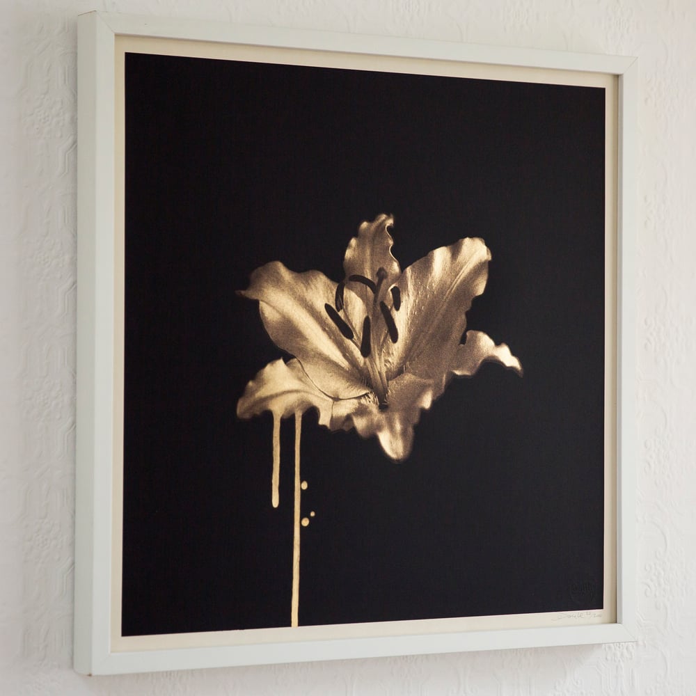 Image of Gilded Lily (Gold)