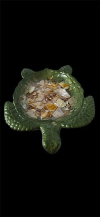 Image 6 of Turtle Tray