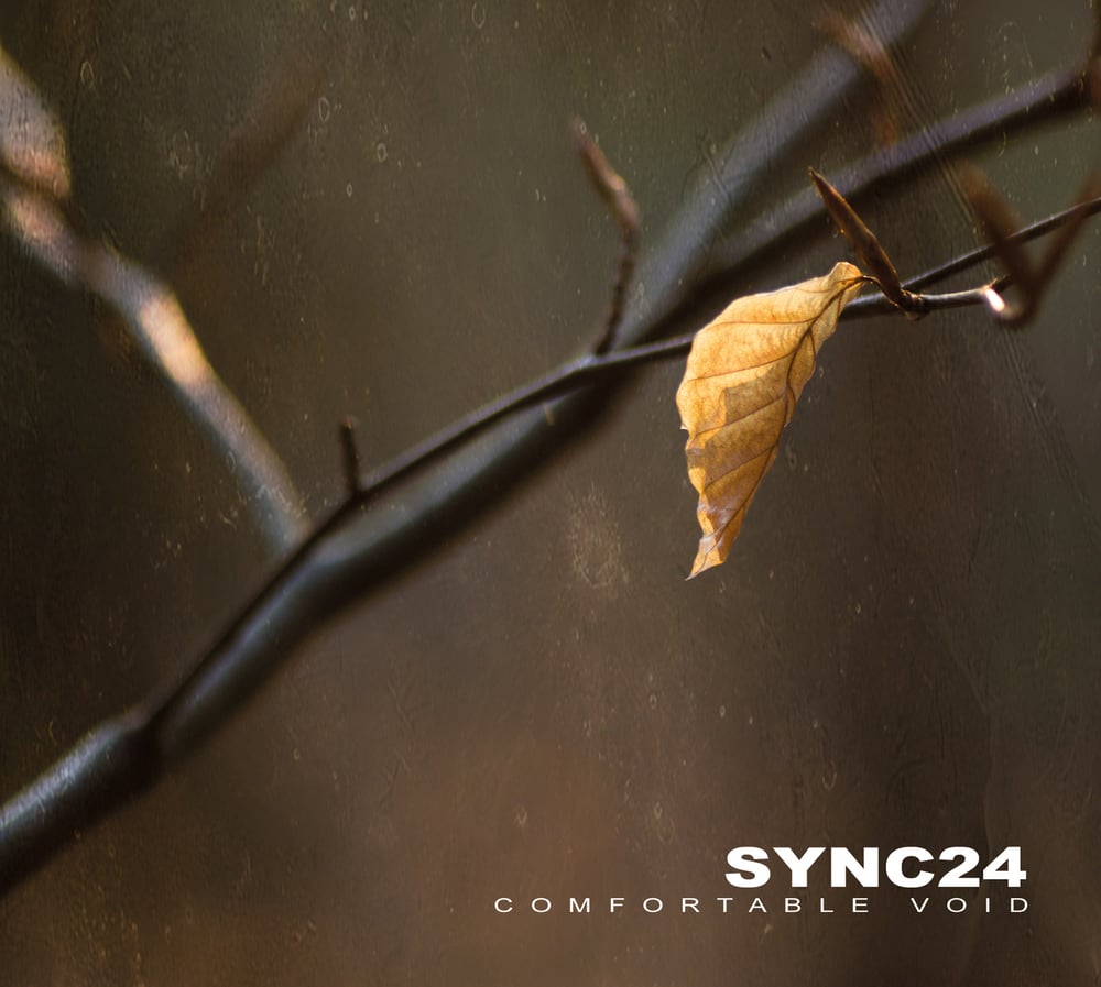 Image of Sync24 'Comfortable Void' DLP (brown or black vinyl)