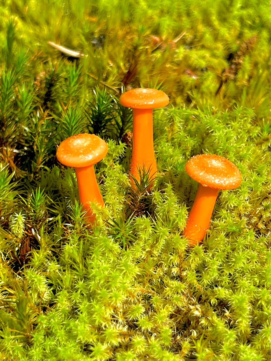 Image of 3 Orange Mushroom Plant Spikes