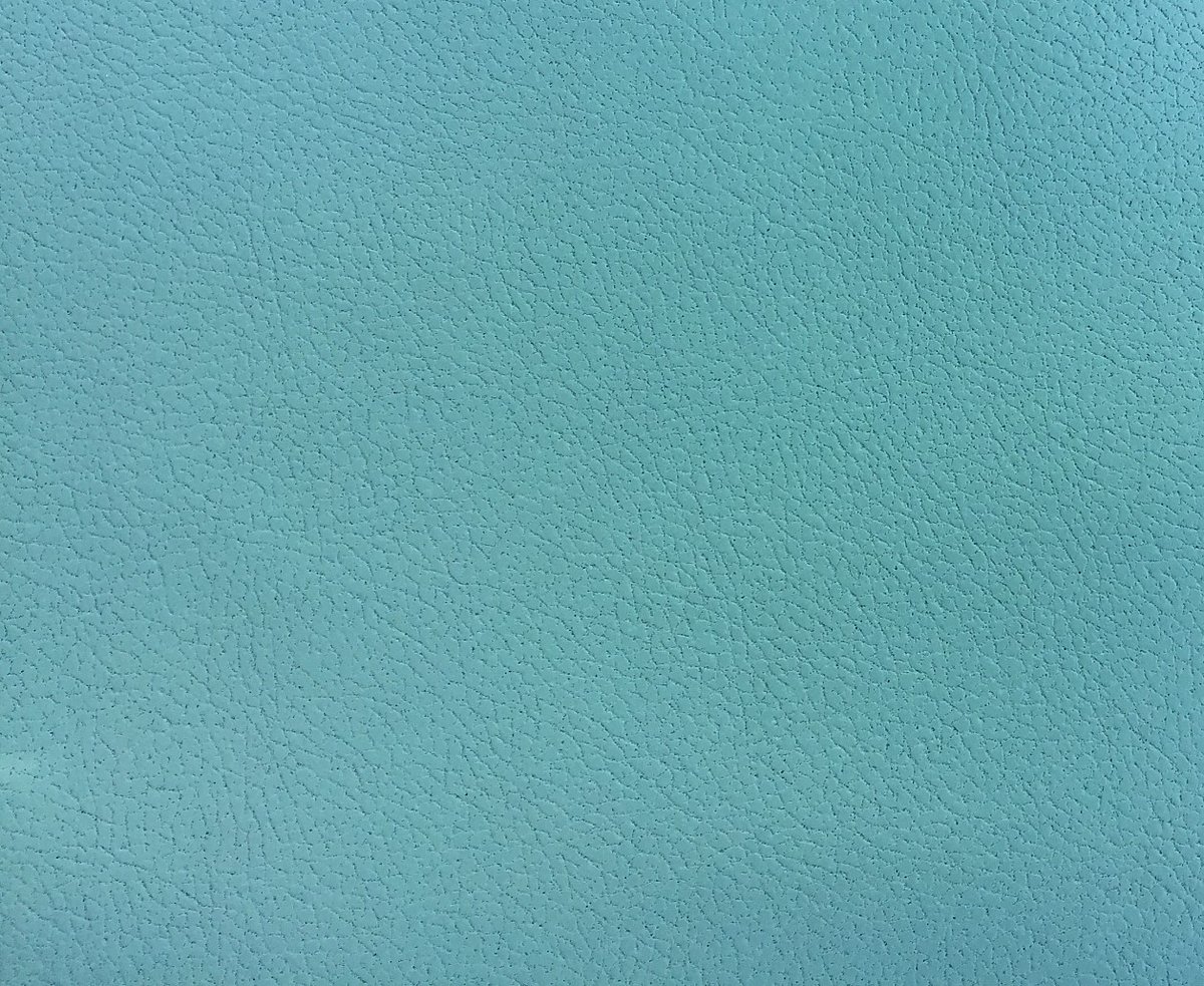 Image of Aqua Leather