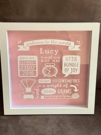 Birth Announcement Shadow Box