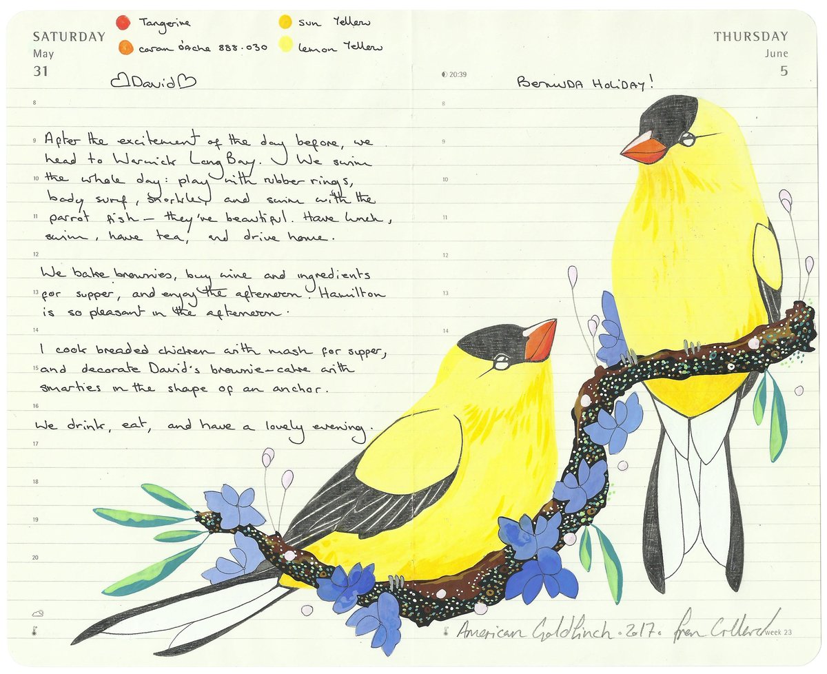 Image of American Goldfinch