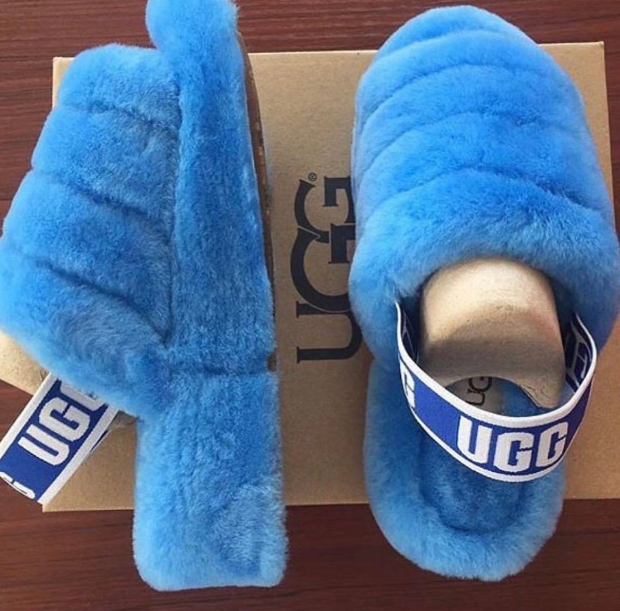 blue ugg slides