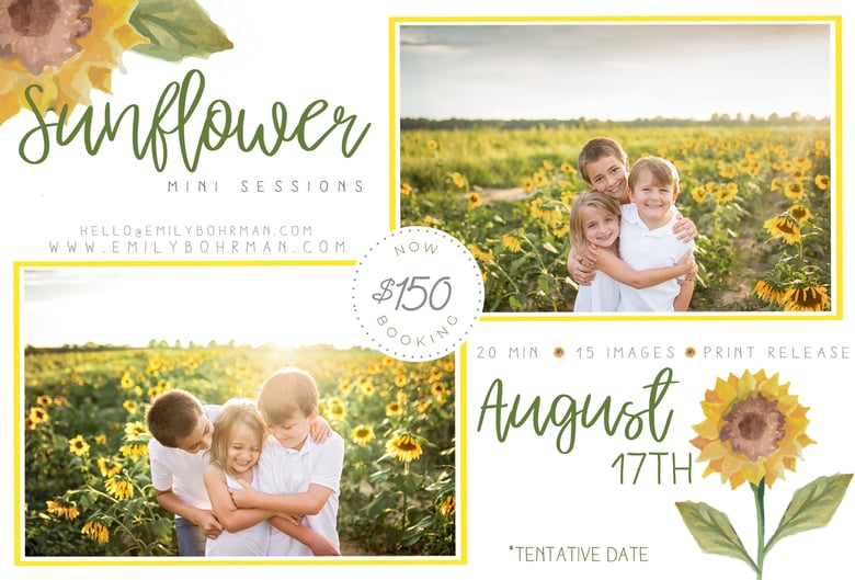 Image of Sunflower mini sessions