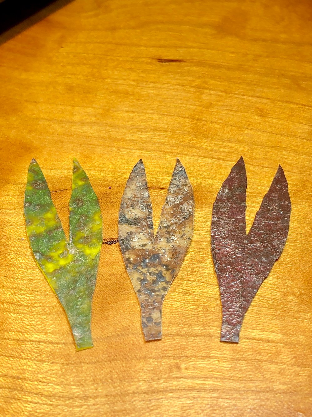 Crawdad Pinchers