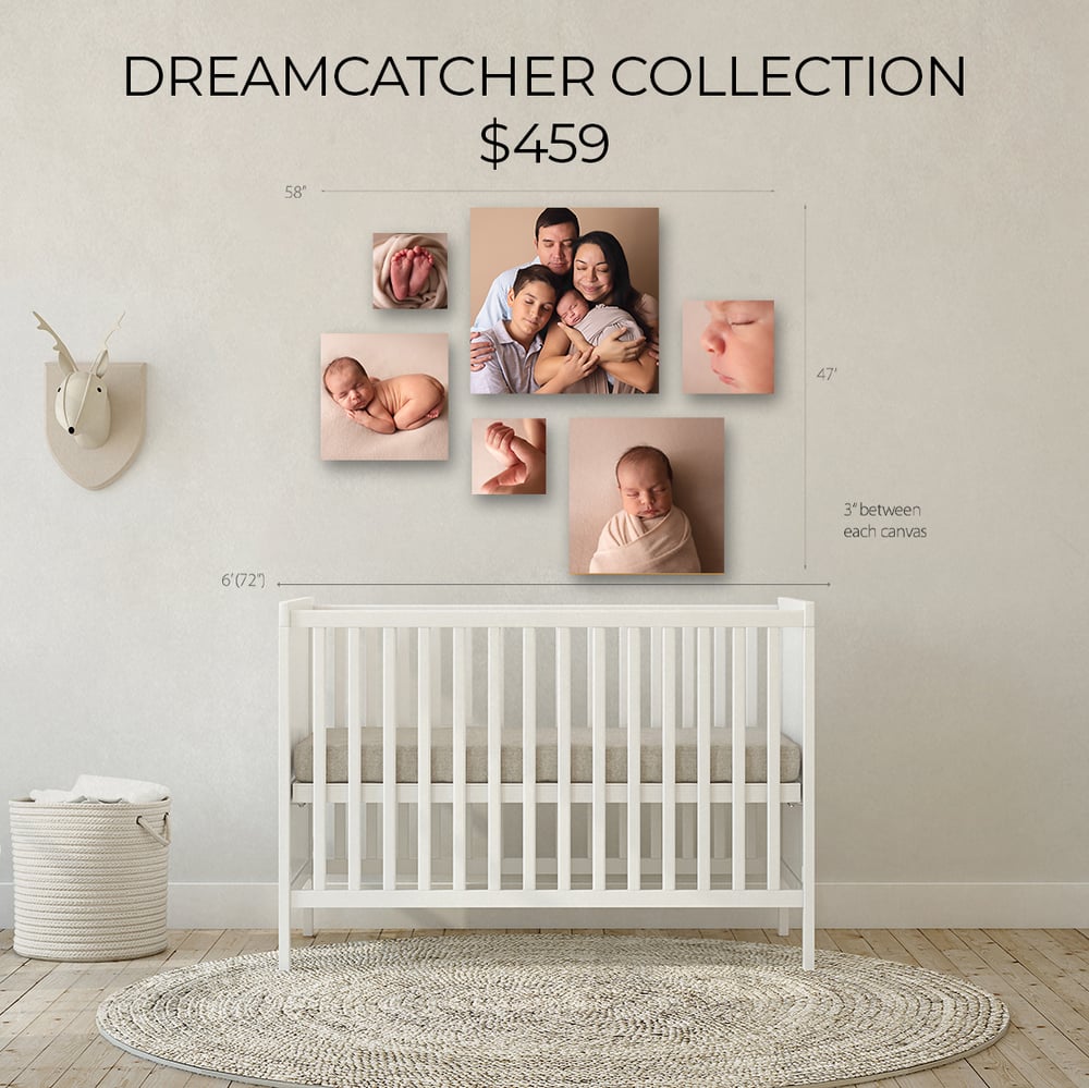 Image of DREAMCATCHER CANVAS COLLECTION