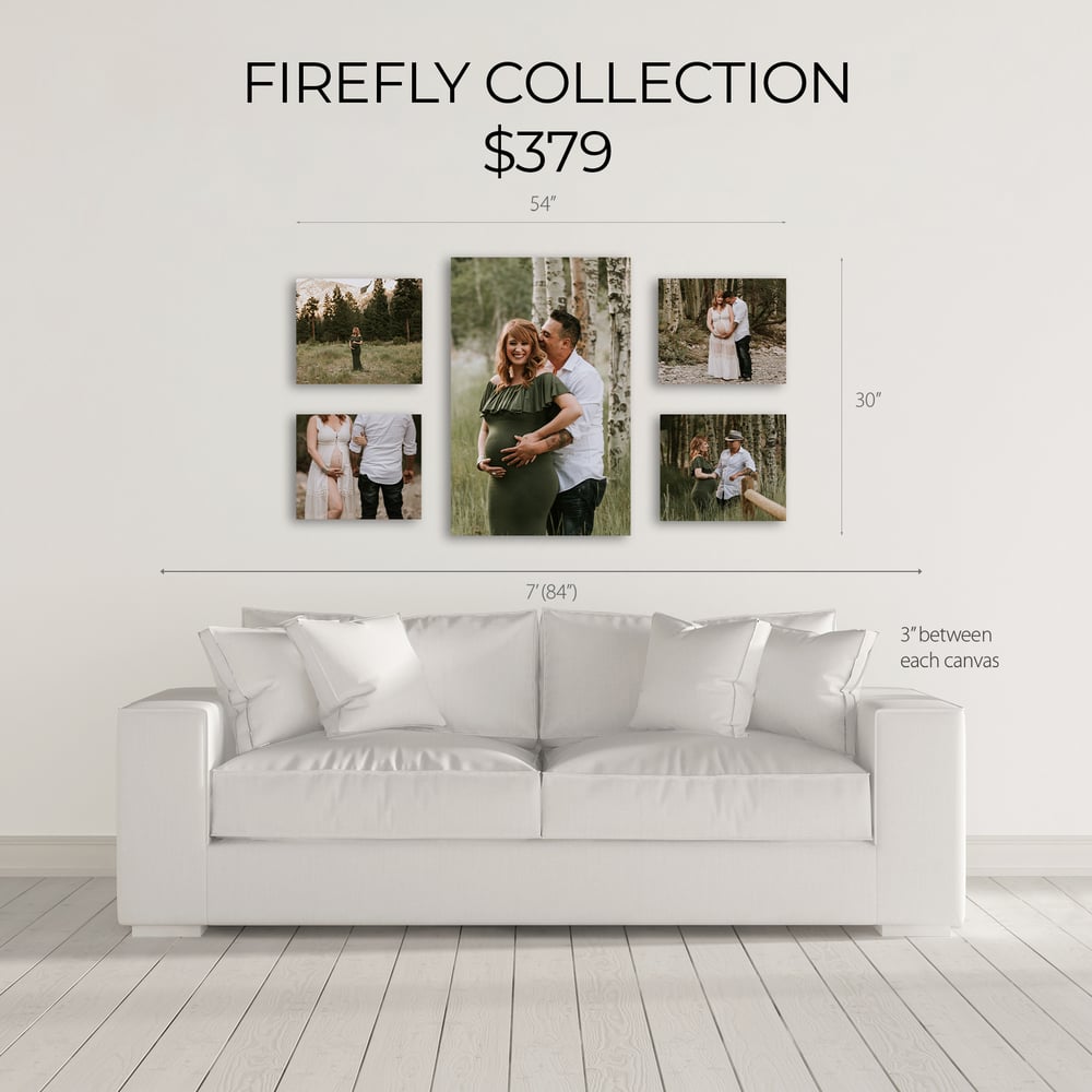 Image of FIREFLY CANVAS COLLECTION