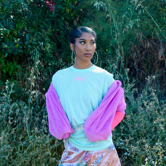 Image of Charlie Crew Neck T-Shirt (Mint)