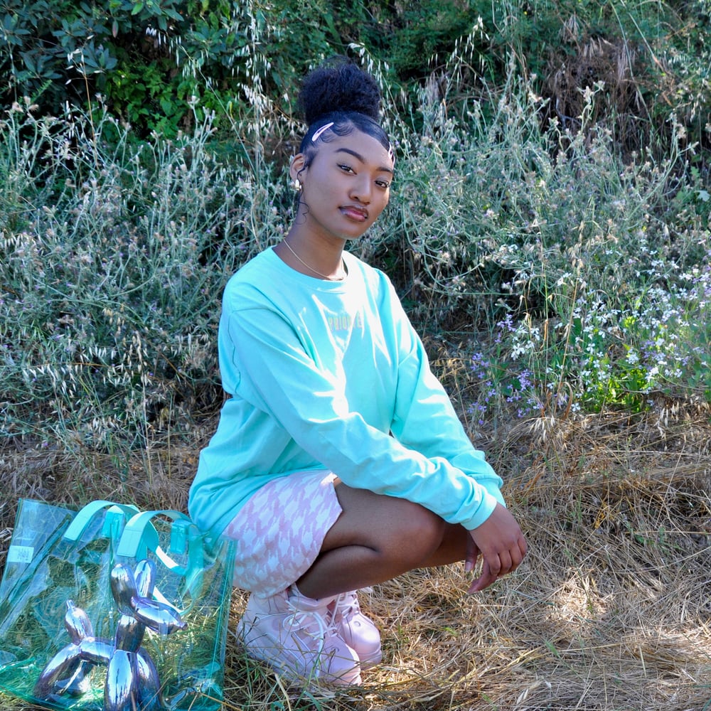 Image of Phoenix Long Sleeve T-Shirt (Aqua)