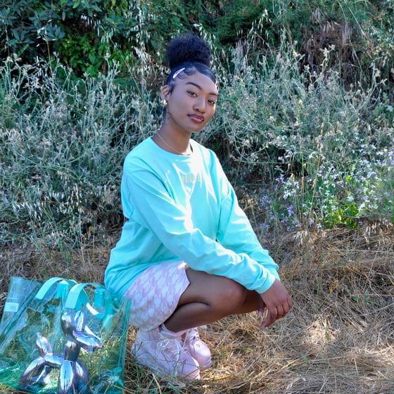 Image of Phoenix Long Sleeve T-Shirt (Aqua)